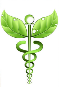 Naturopathic Medicine_November2